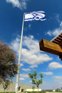 מתנפנף