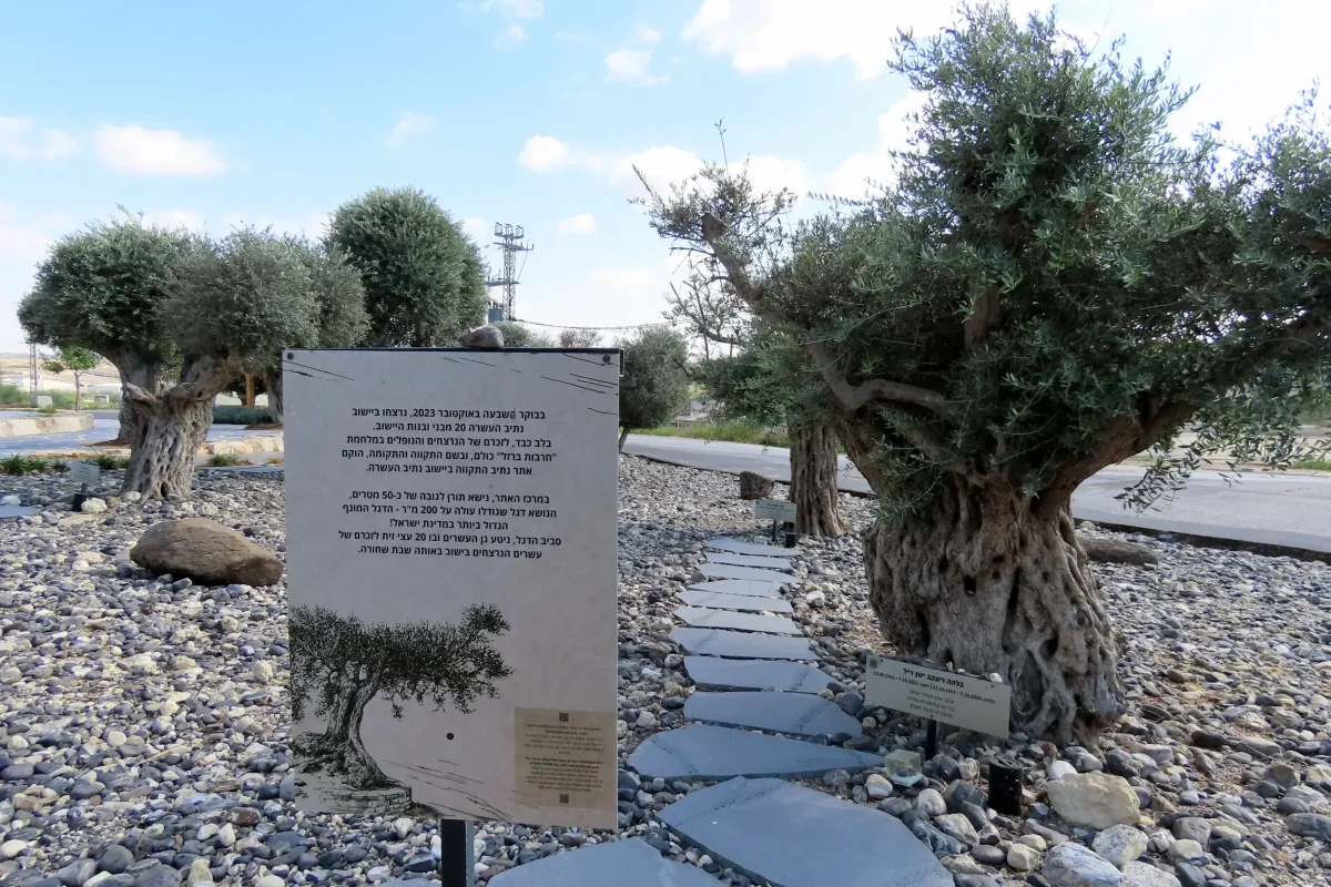 הכניסה לחורשת עצי הזית