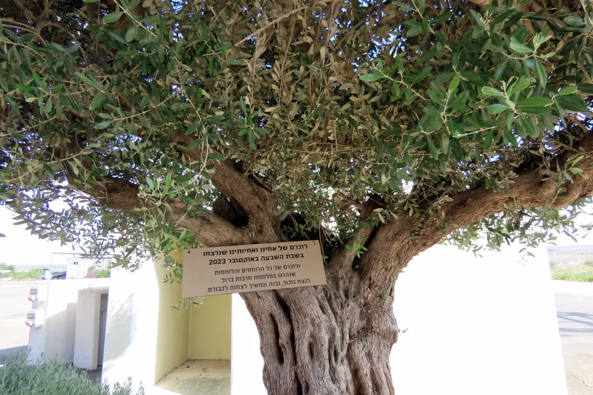 לזכרם